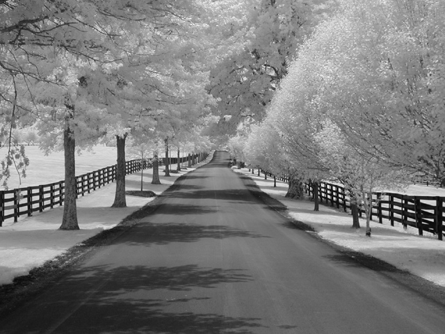 The Road Less Travelled