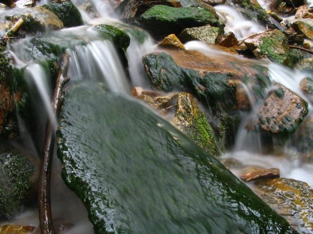 Harmony in Green