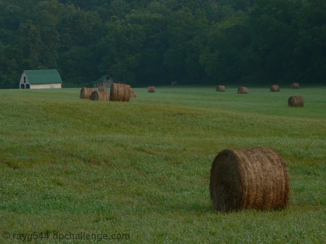 Country Morn'