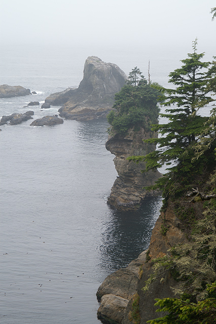 Cape Flattery