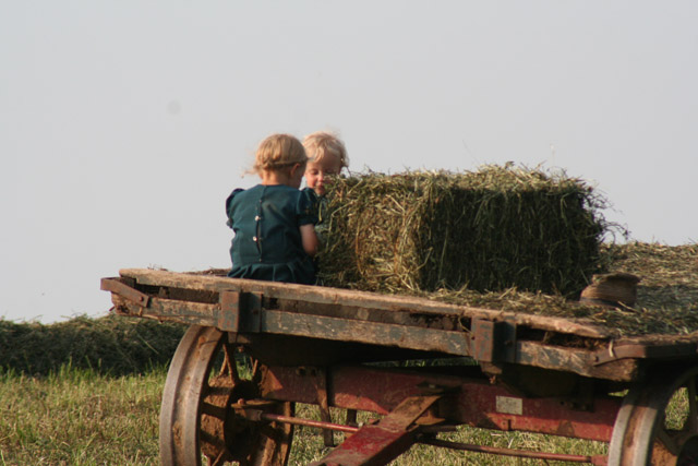 Amish Children, playing on wagon