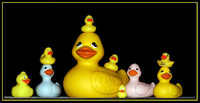 Ducky Family portrait