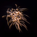 Pyrotechnic Feathers in Chaos