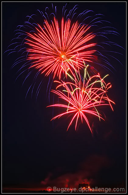 Sky Urchins