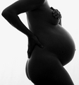 Thirty-Three Weeks