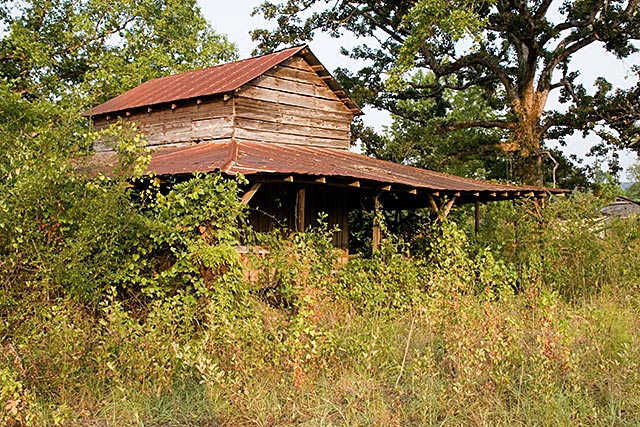 Another Mother Nature and Sons Reclaimation Co.  project underway
