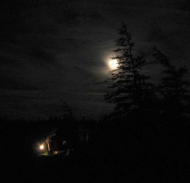 Electricity ruins the night view in the country