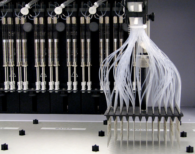 Process 96 DNA Samples At Once