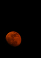 Lunar Eclipse: A Rare Perspective
