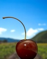 Cherry