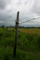 Fence in Storm