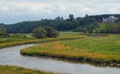 Small House, Big River