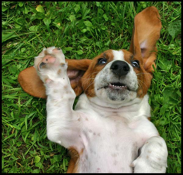 Hi, I'm Floyd