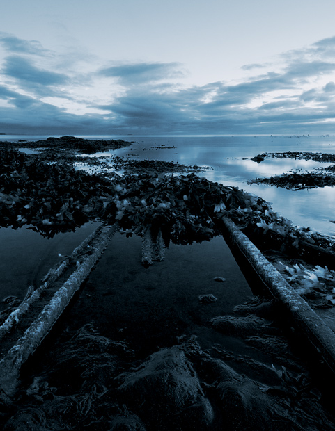 A Railroad to the Ocean