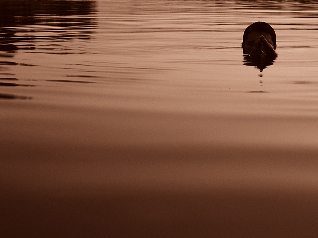 Dive