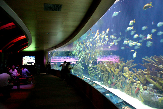 Aquarium