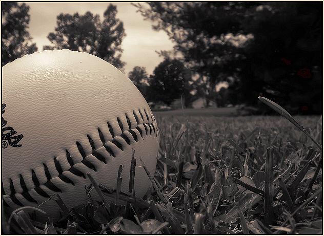 Baseball in the Yard