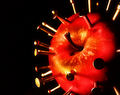 An Apple For The Pretty Lady?