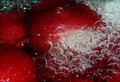 Tiny bubbles