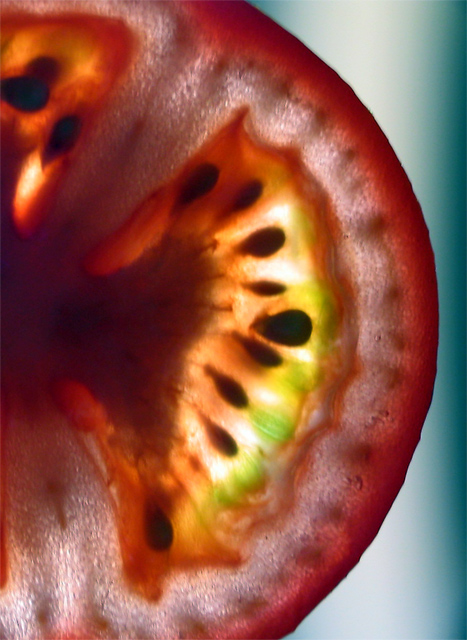 tomato