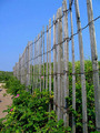 The Dunes... All Fenced In
