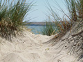 A dune with a view