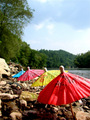 Parasols by the River