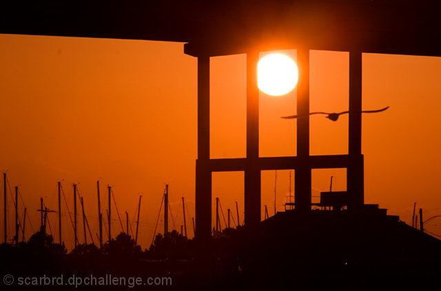 Sittin' On The Dock Of The Bay . . .
