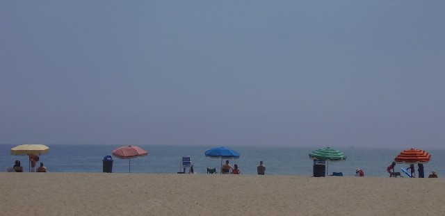 beach umbrellas
