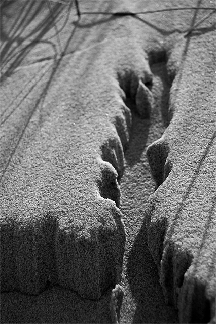 Sand