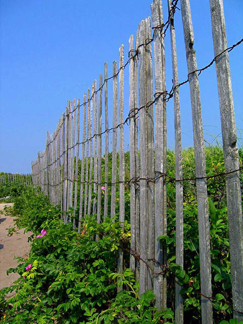 The Dunes... All Fenced In