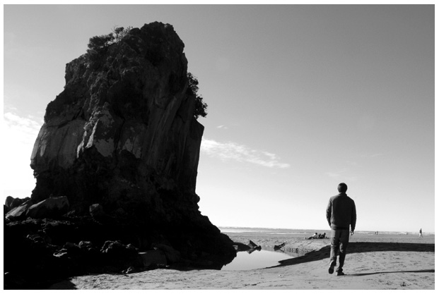 Shag Rock, Sumner Beach