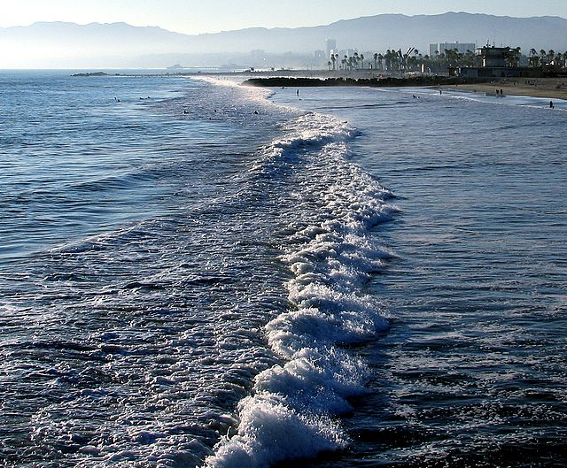 Venice Beach