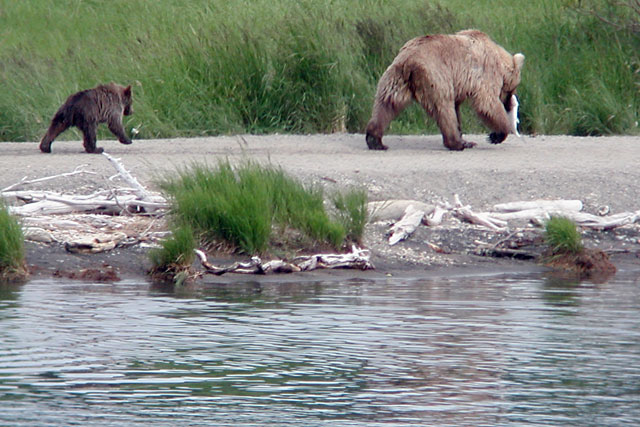 Mom's got dinner