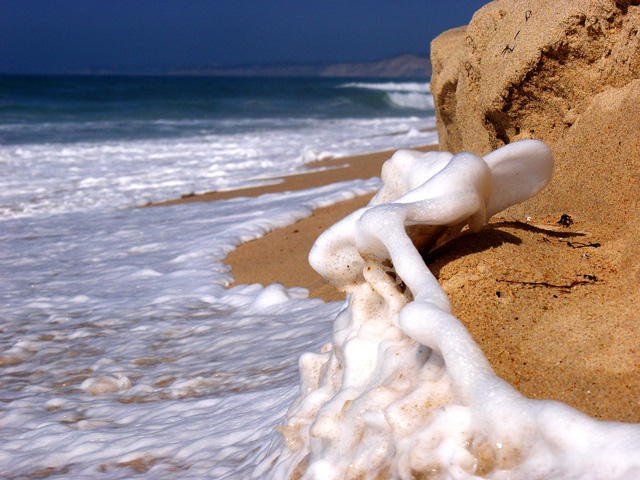 Sea Foam  crawling out