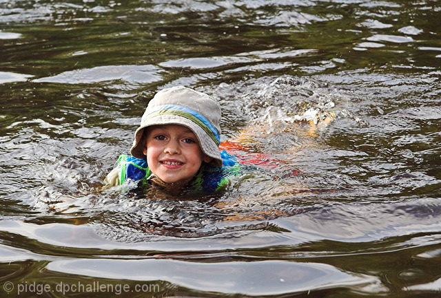 Learning to Swim