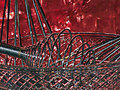 Lines in the Kitchen