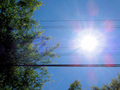 Power Lines