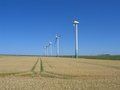 Wind Turbine Field