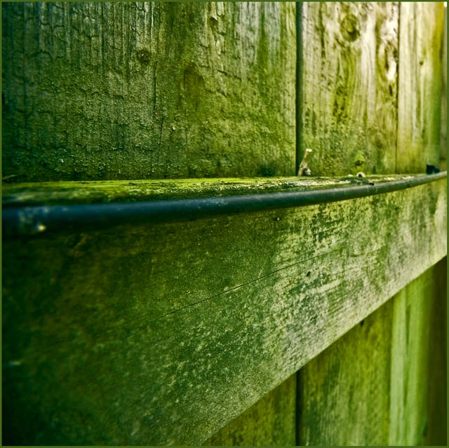  South Fence line