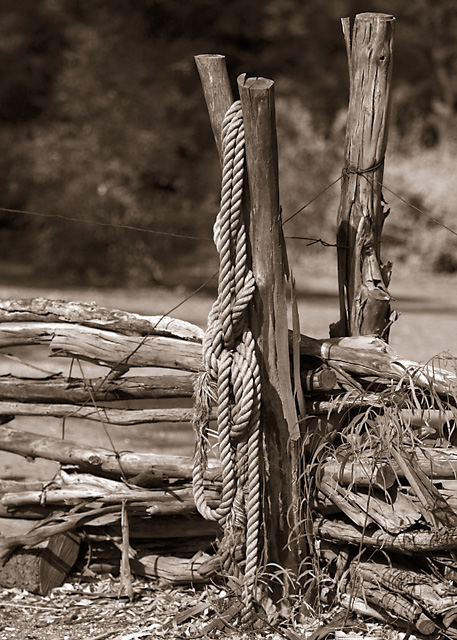 Tangle