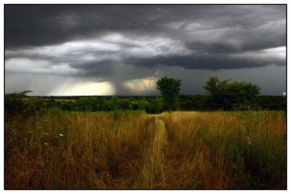 Rain Line