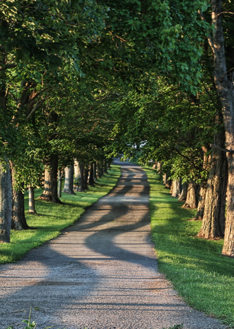 Lazy Lane