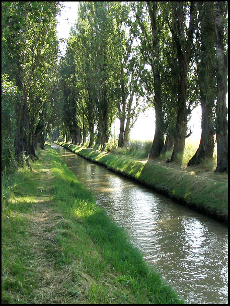 The path beside the channel