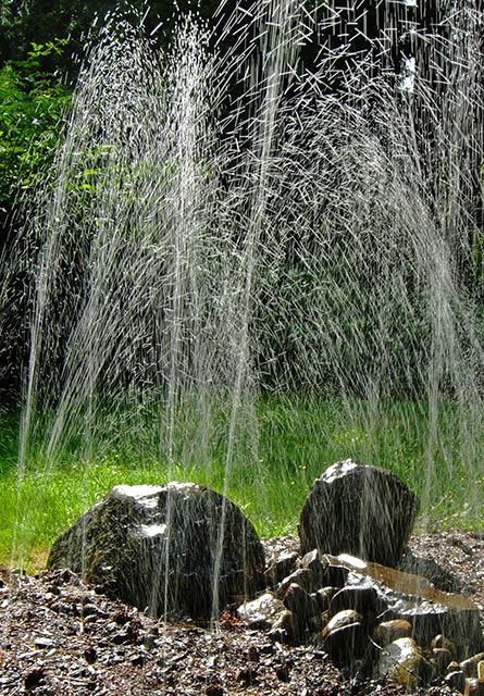 The Garden Sprinkler Draws Lines in the Sun