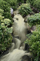 The alchemists spring