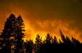 Golding's Blaze