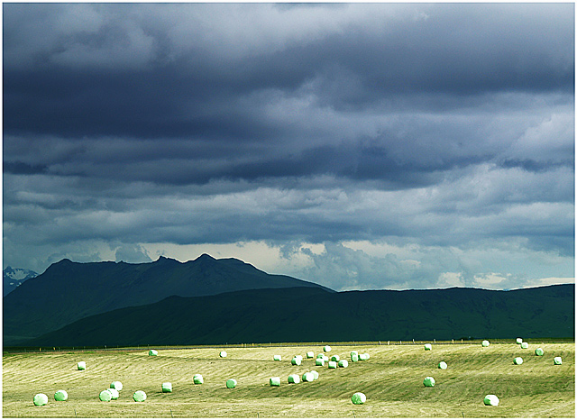 Haymaking