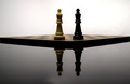 Black and White Kings of Chess