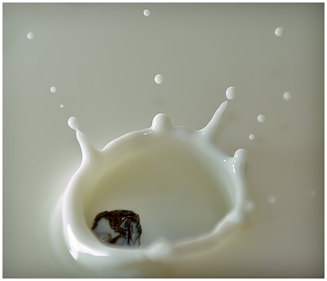 Raisin in milk